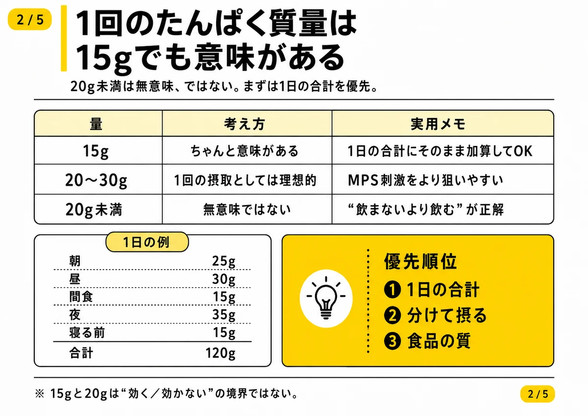 15g、20〜30gのタンパク質摂取とMPS刺激の考え方