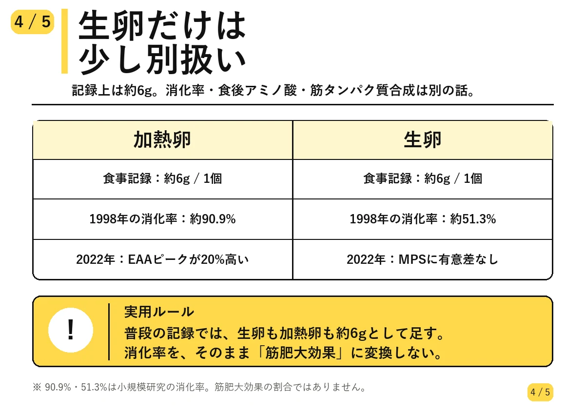 加熱卵と生卵のタンパク質消化率を比較した表